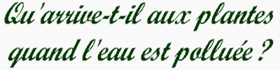 LA TERRE ABSORBE TOUT .. Sciences - Sciences de la Terre - 